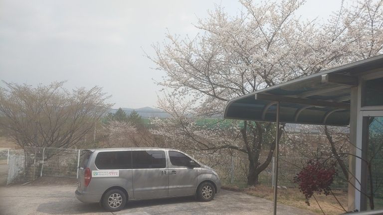 봄의 기운이 완연한 혜강행복한집 풍경