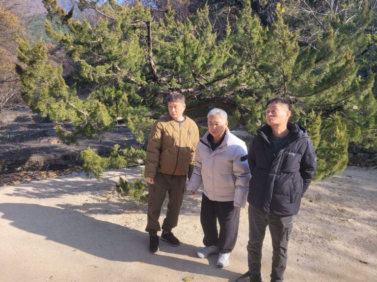2025.11.26일 지역사회화용에 대하여