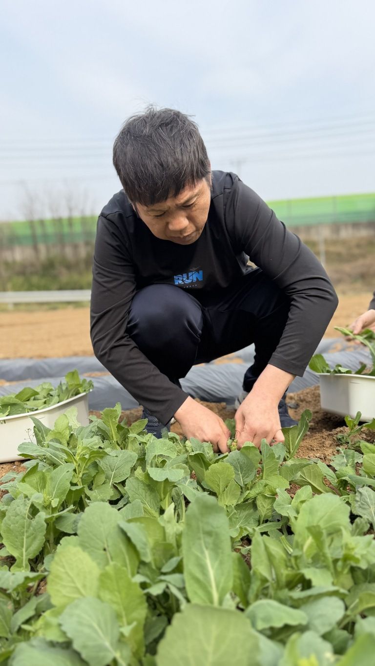 행복농장