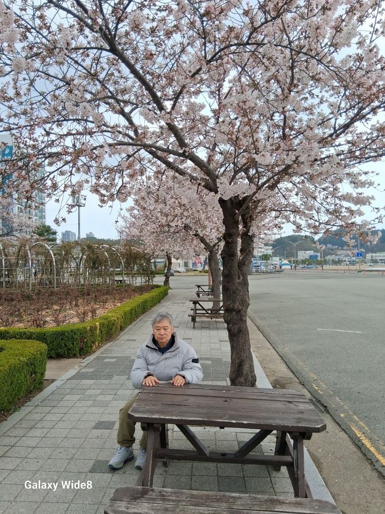 이범영님 생일 나들이