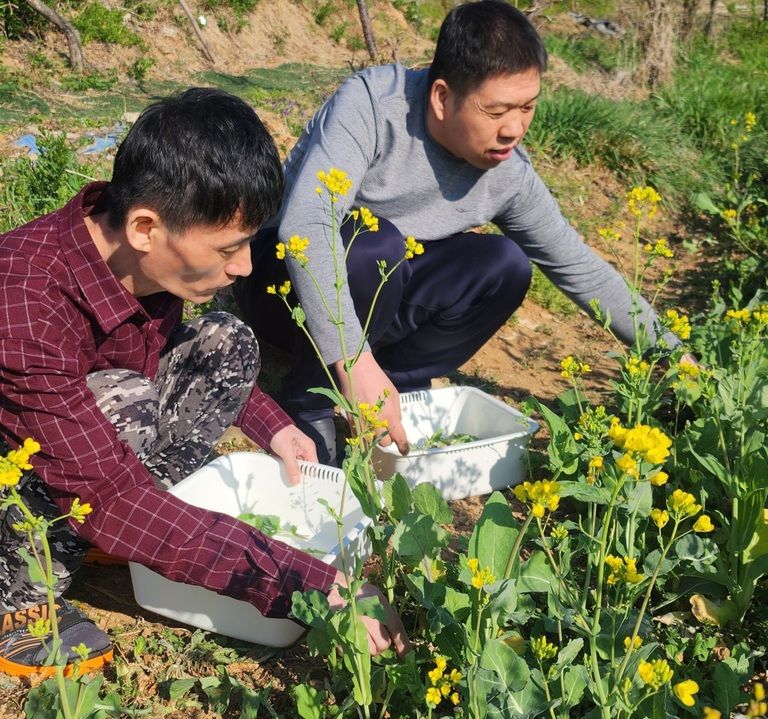 행복농장